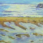 Індійський пленер 3