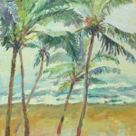 Індійський пленер 10