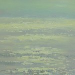 Індійський пленер 5